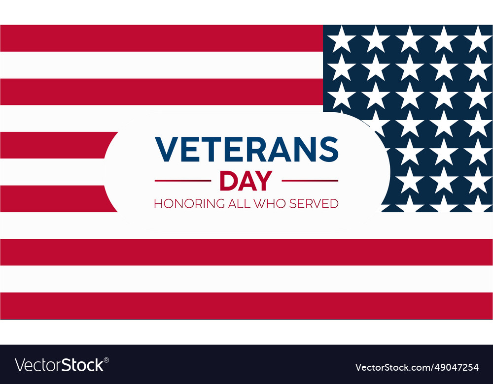 Veterans day tribute with american flag saluting Vector Image