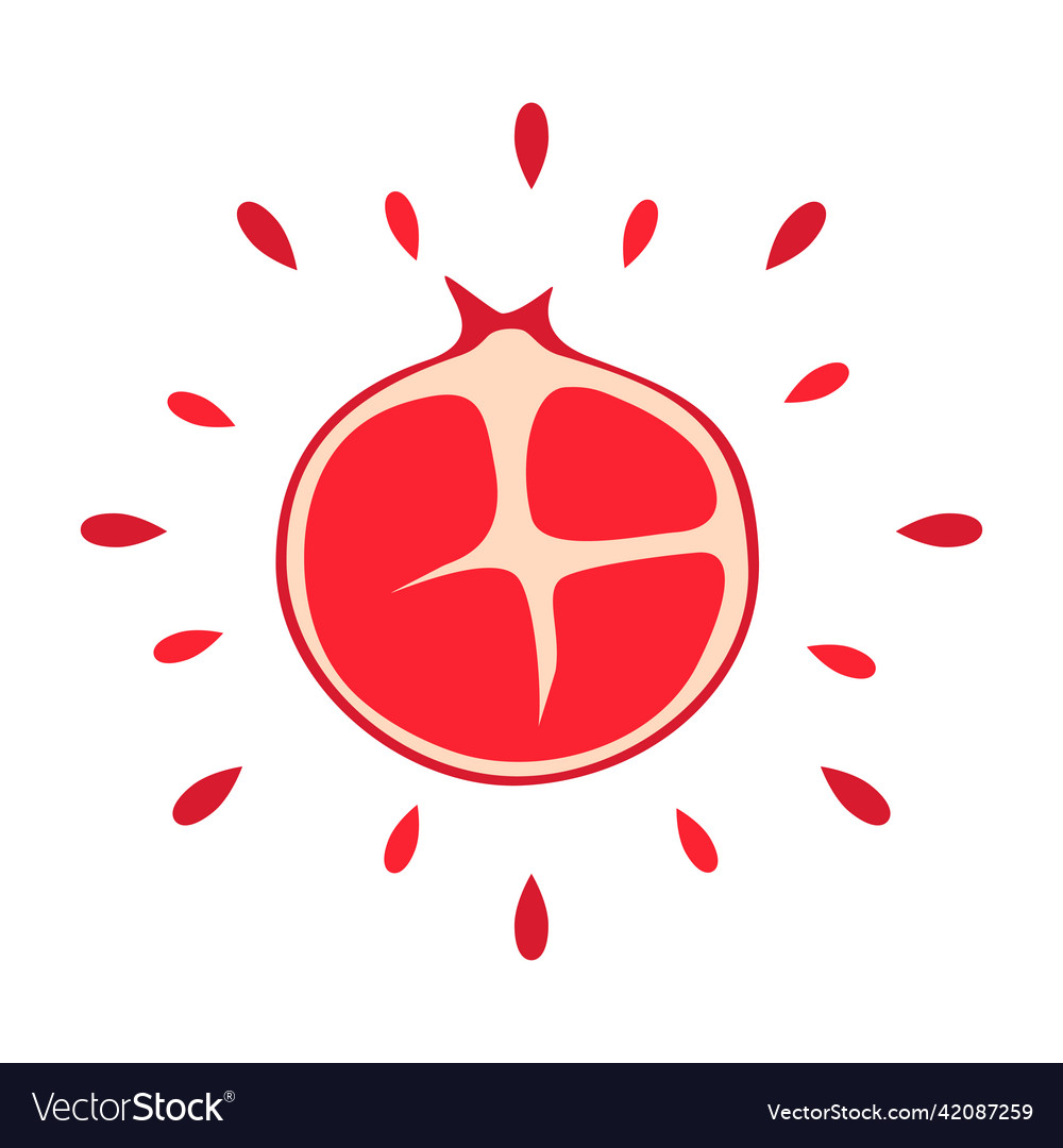 Abstract juicy pomegranate icon with splash