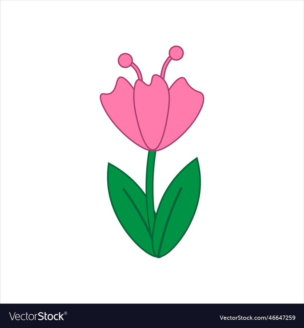 Plant flower leaf Royalty Free Vector Image - VectorStock