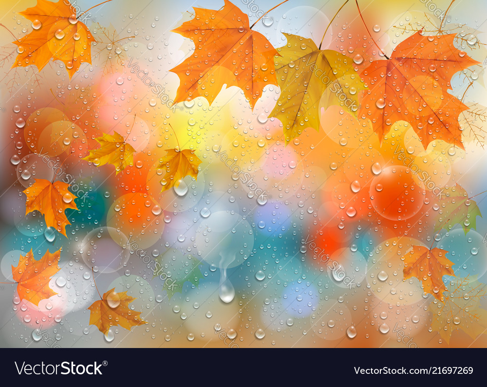 Autumn colorful background with leaves