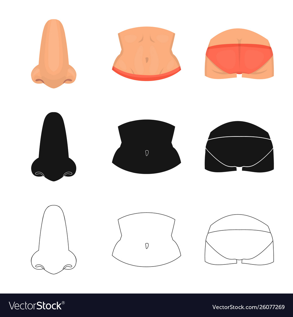 Isolated object body and part logo set