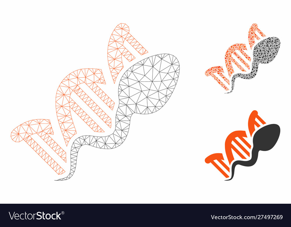 Sperm replication mesh carcass model