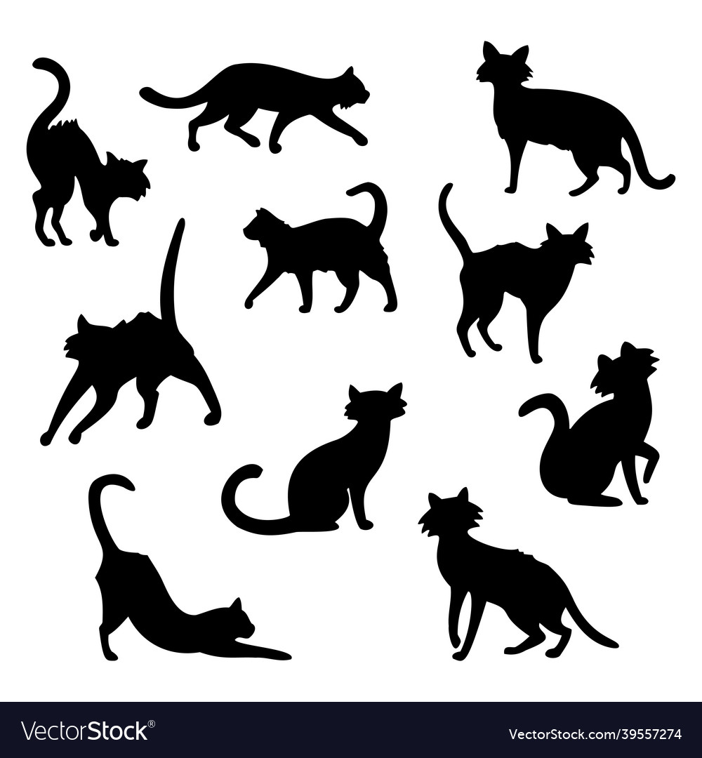 Collection of 10 black halloween cats on white