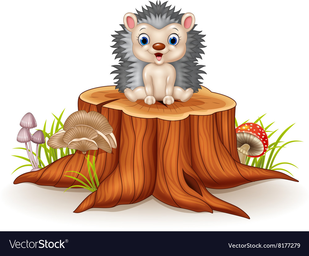 Cute baby hedgehog sitting on tree stump