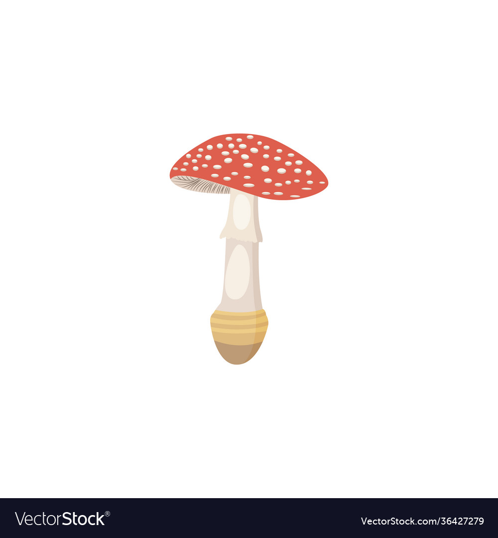 Toxic poisonous forest fly-agaric mushroom flat Vector Image