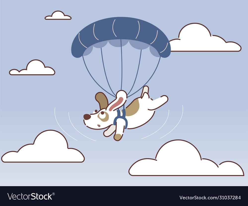 Cute dog are flying on parachutes