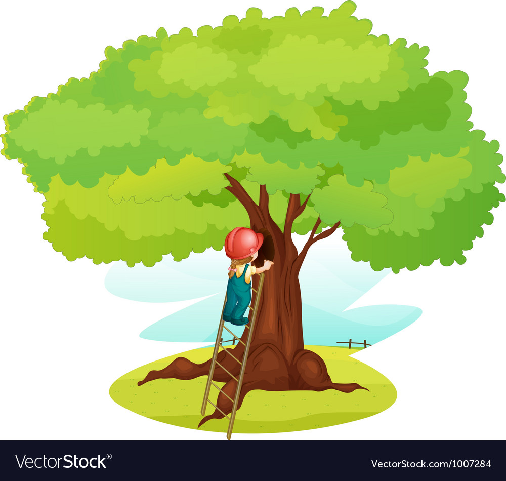 Ladder under tree Royalty Free Vector Image - VectorStock