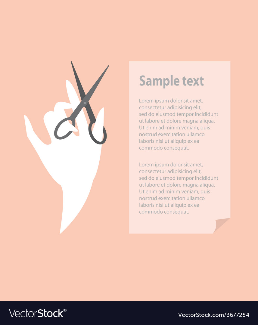 Professional Hairdresser Royalty Free Vector Image