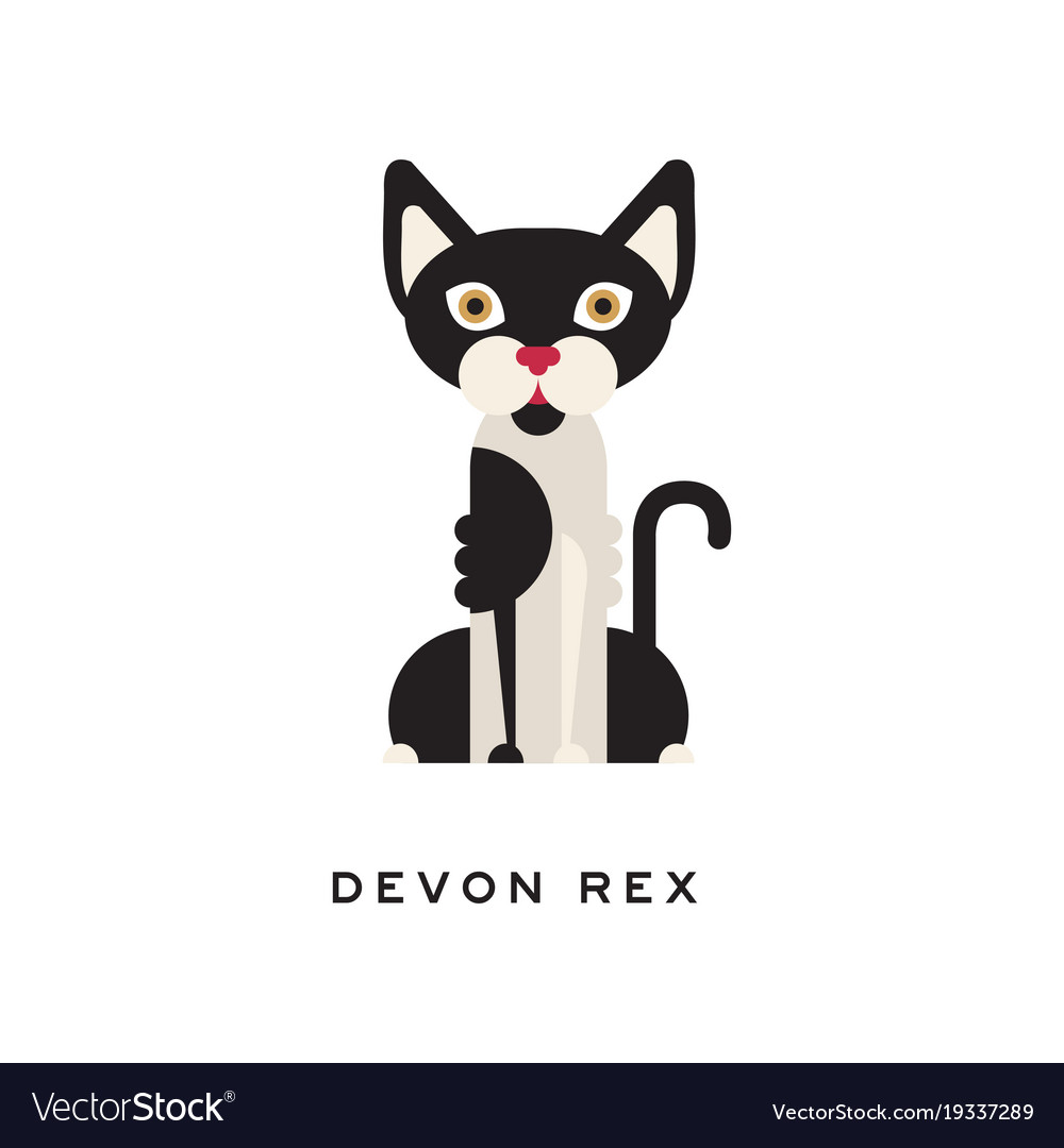 Devon Rex Intelligent Short Haired Cat Feline Vector Image