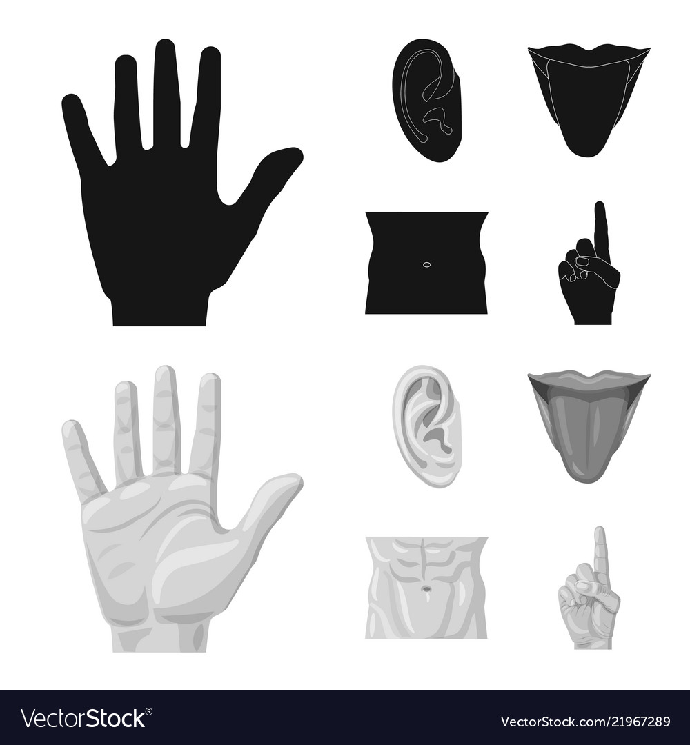 Isolated object of human and part sign collection vector image Isolated object of human and part sign collection