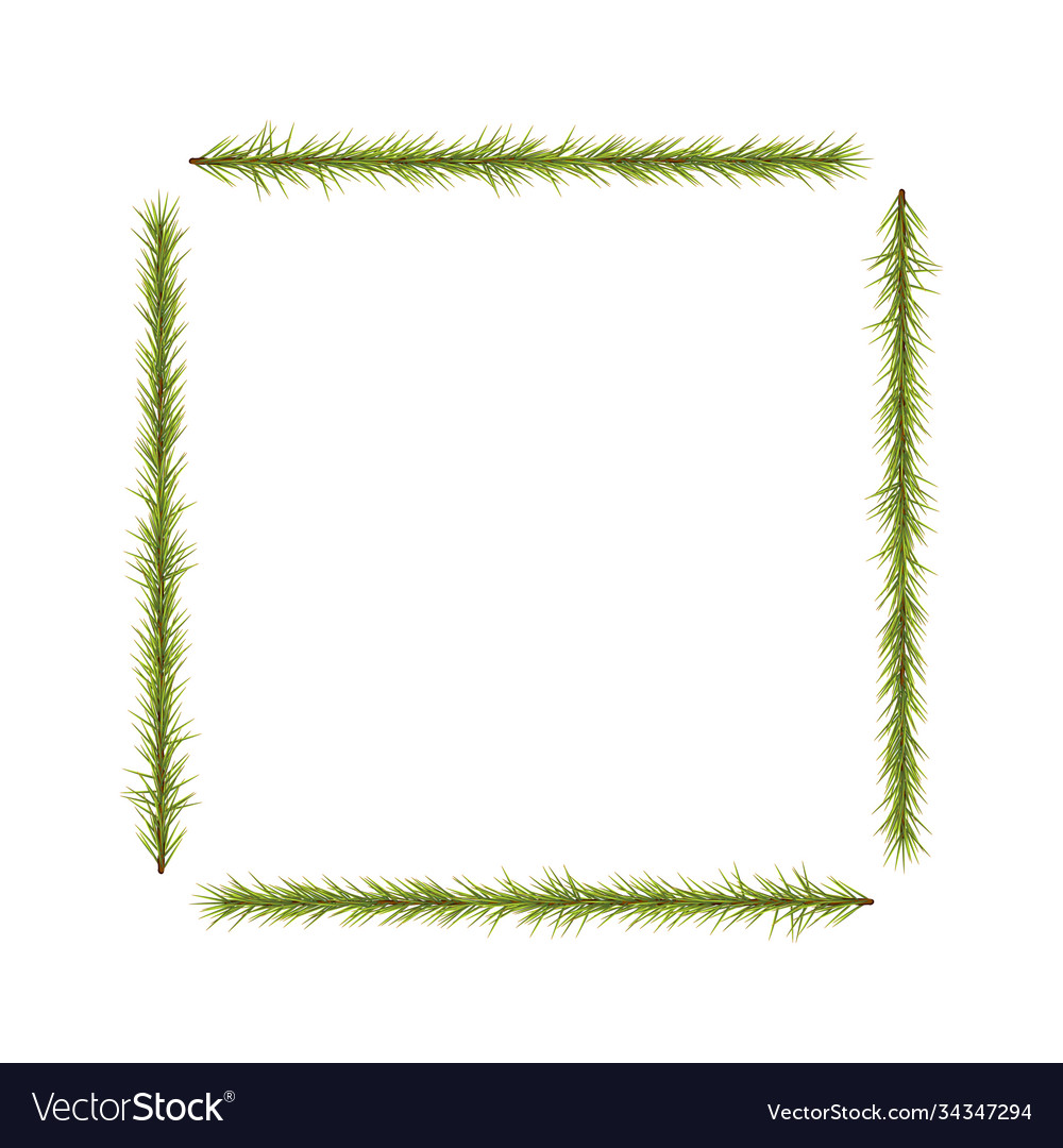 Frame christmas tree fir branch pattern Vector Image Frame christmas tree fir branch pattern