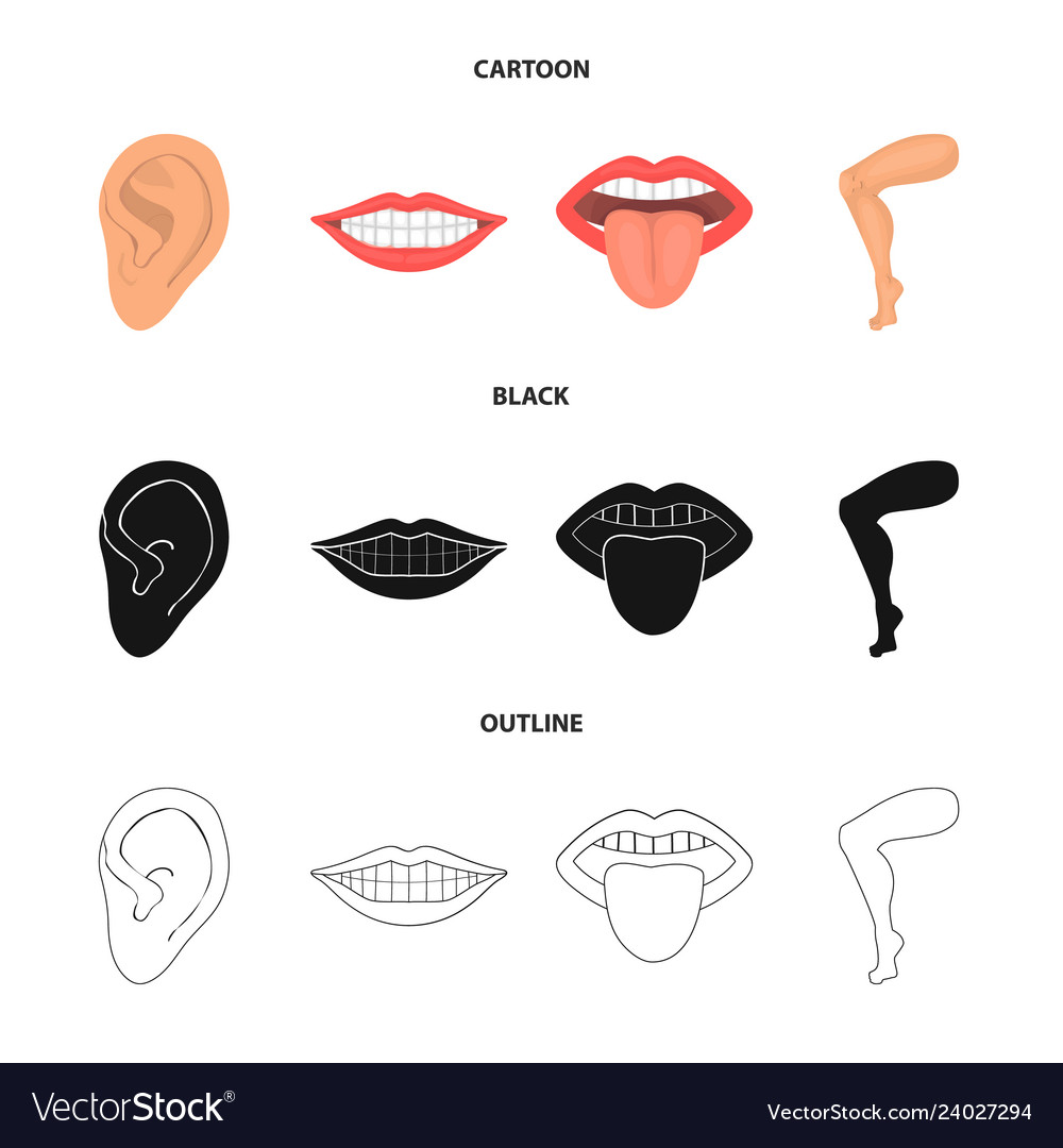 Isolated object of body and part sign set vector image Isolated object of body and part sign set