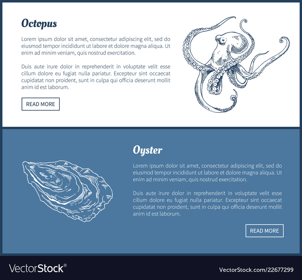 Octopus und Austern Meeresfrüchte doppelte Farbe Grafik