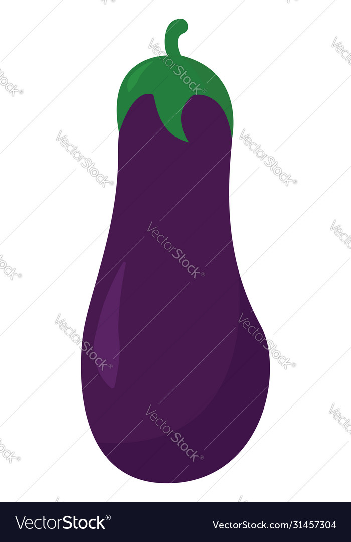 Purple eggplant on white background