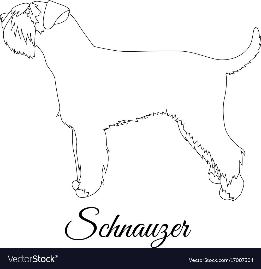 Schnauzer outline