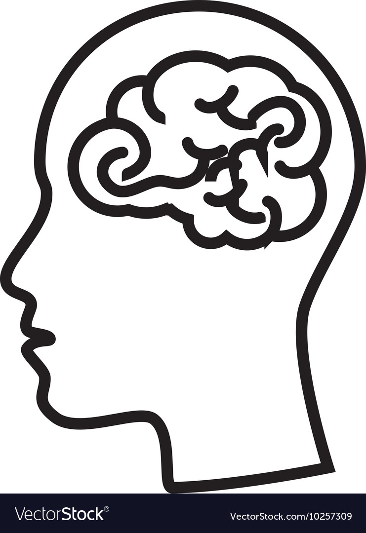 Brain head mind human organ Royalty Free Vector Image