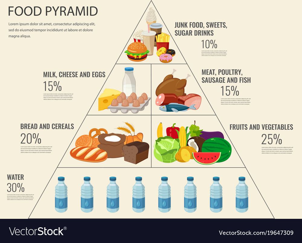 Food Pyramid Healthy Eating Infographic Healthy Vector Image 