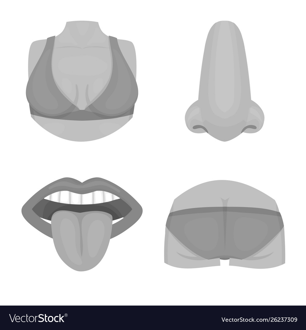 Isolated object body and part sign set vector image Isolated object body and part sign set