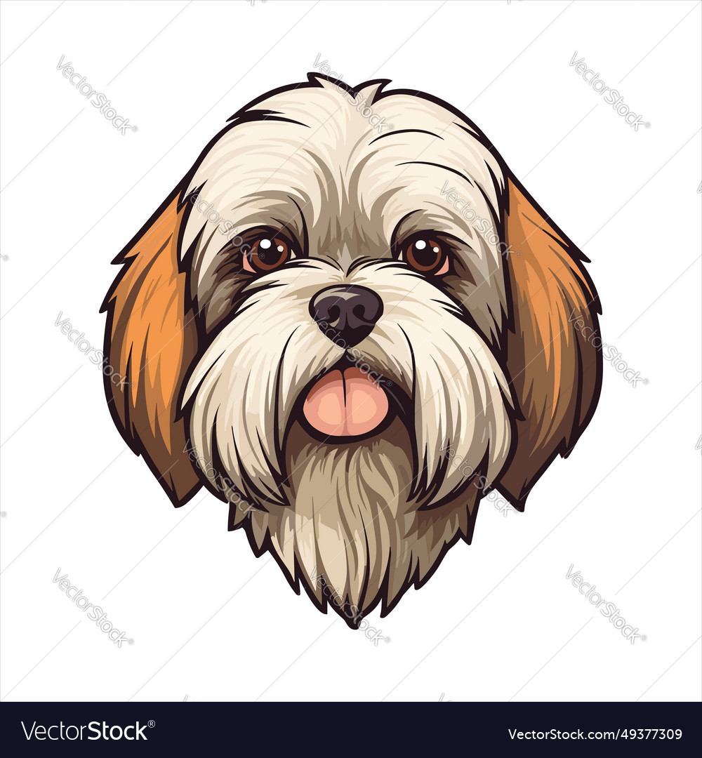 Cute sales lhasa apso