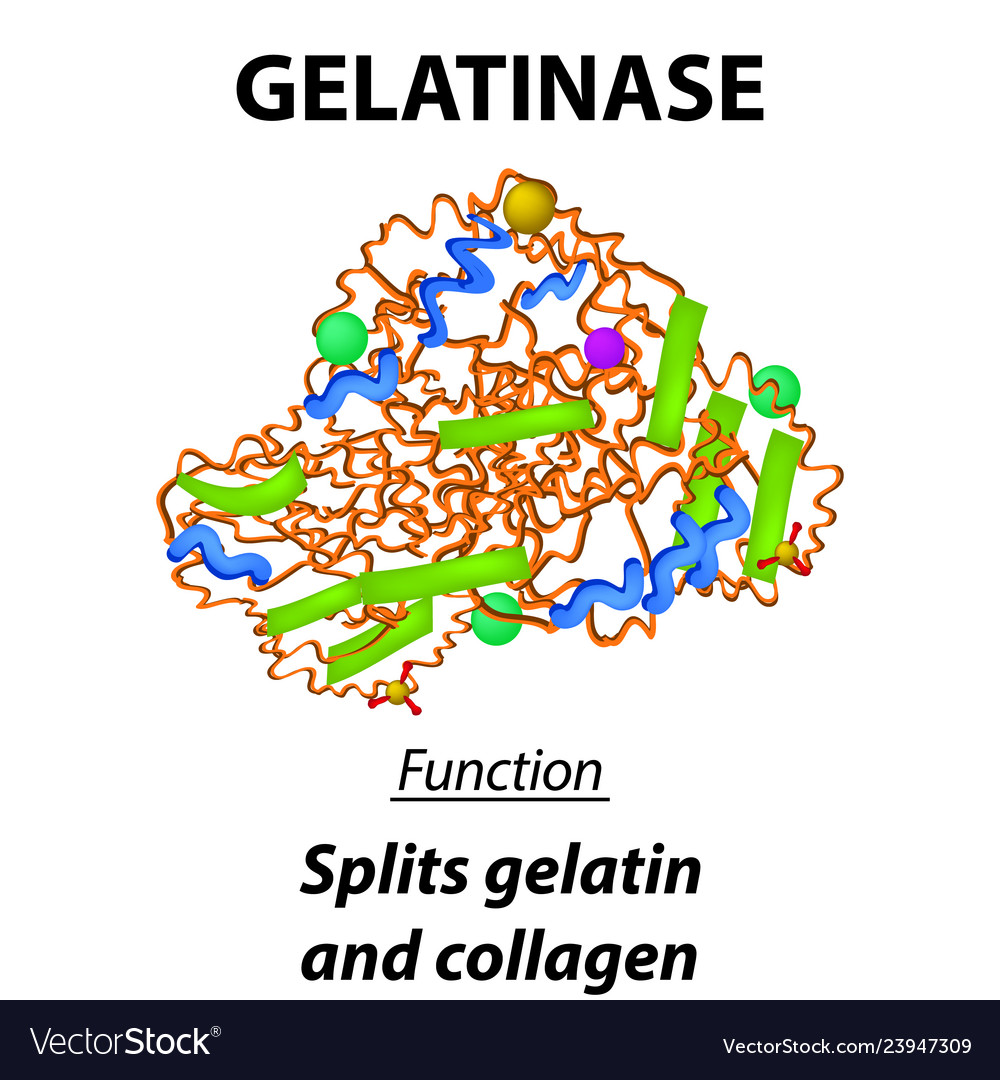 Molecular structural chemical formula gelatinase