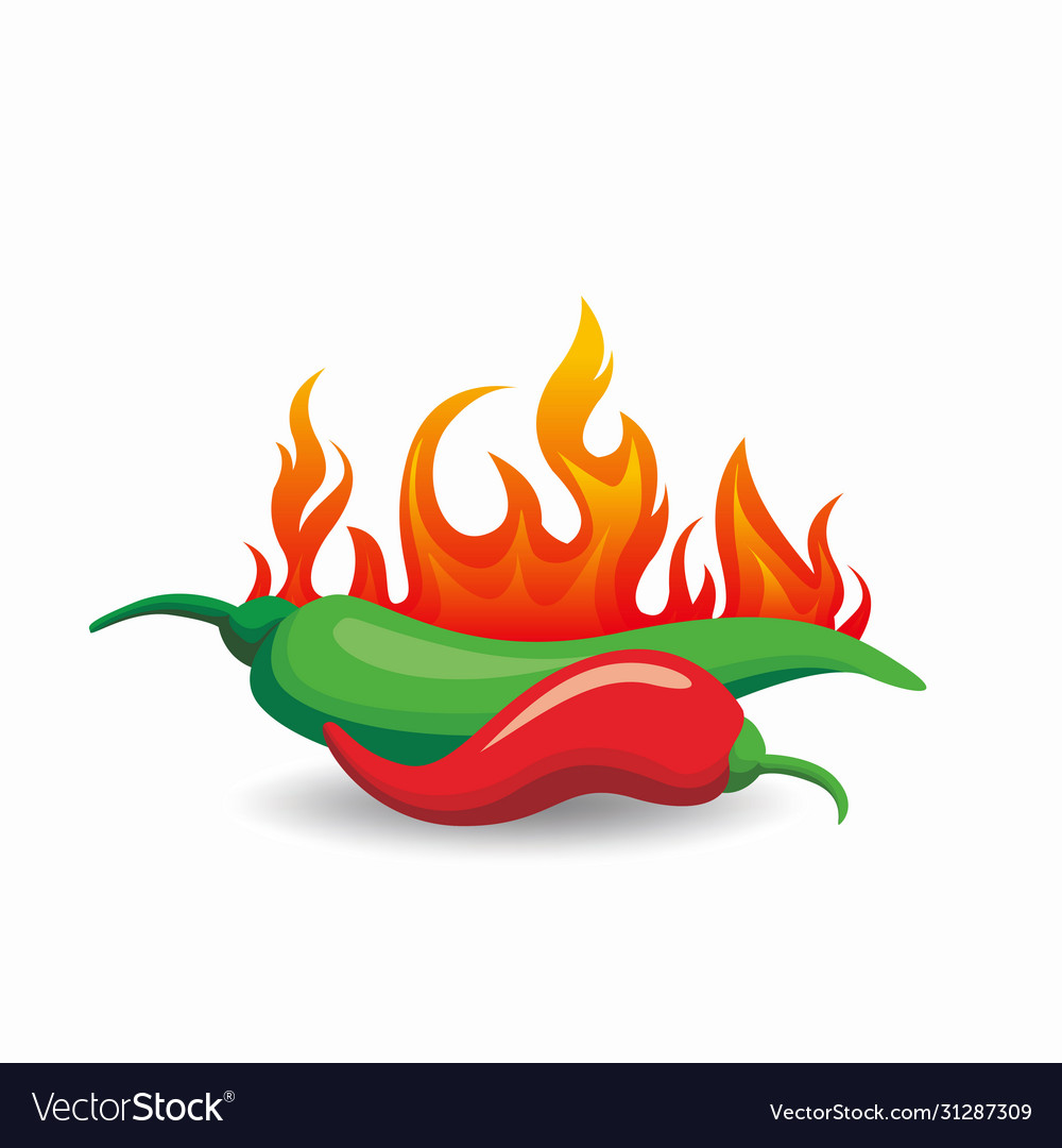 Red and green hot chili pepper with fire Vector Image