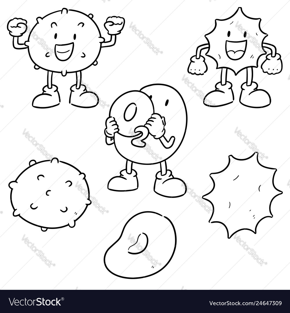 Set blood cells Royalty Free Vector Image - VectorStock