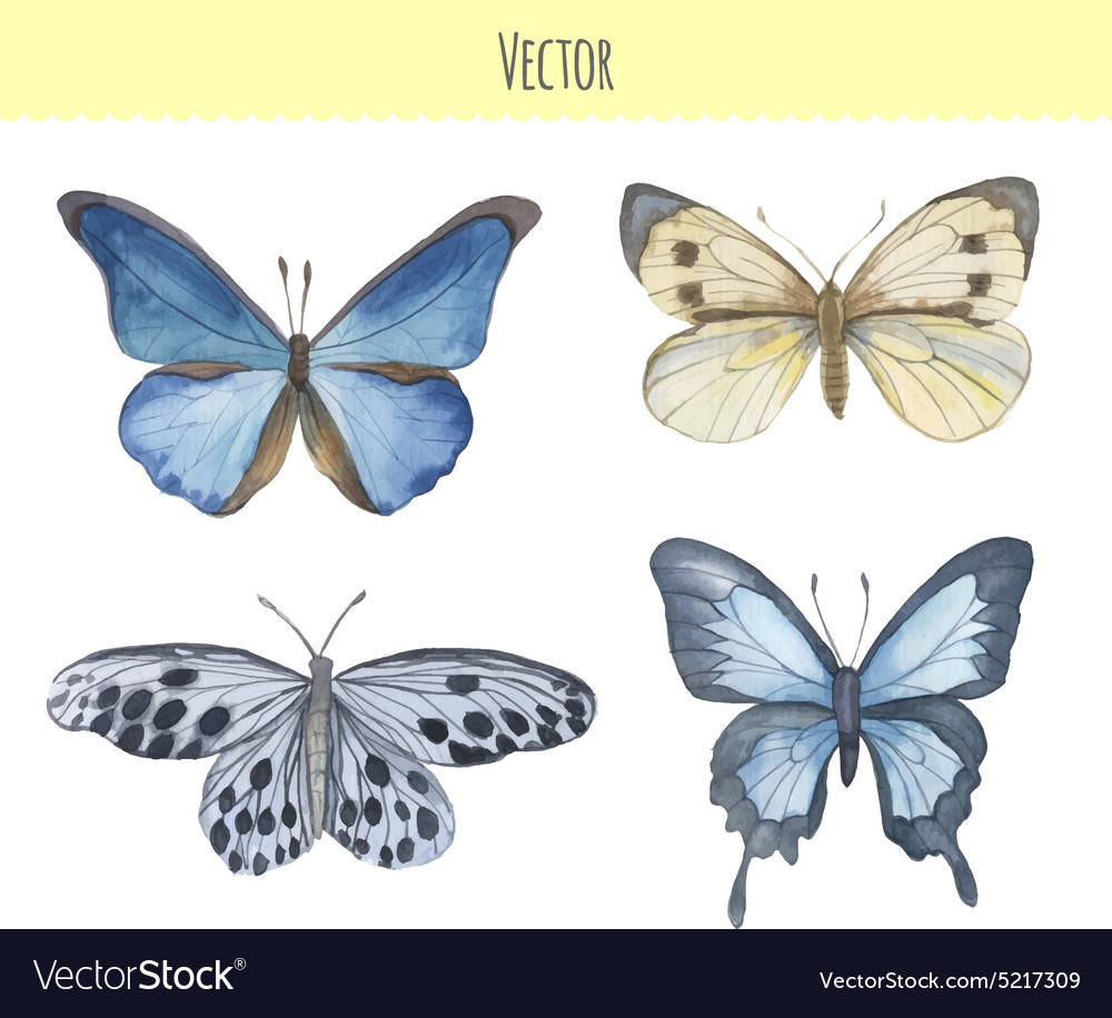 Watercolor Butterfly Set