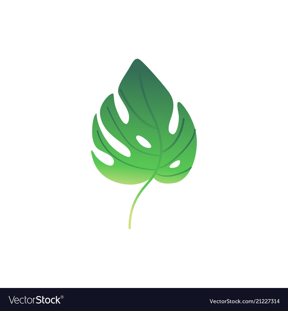 Cartoon green fern plant leaf icon