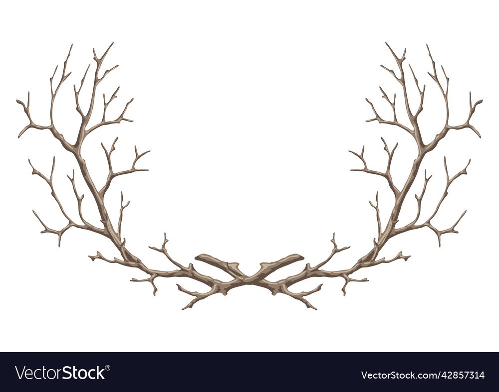 Frame with dry bare branches decorative natural