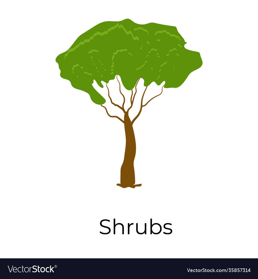 Shrubs Royalty Free Vector Image Vectorstock