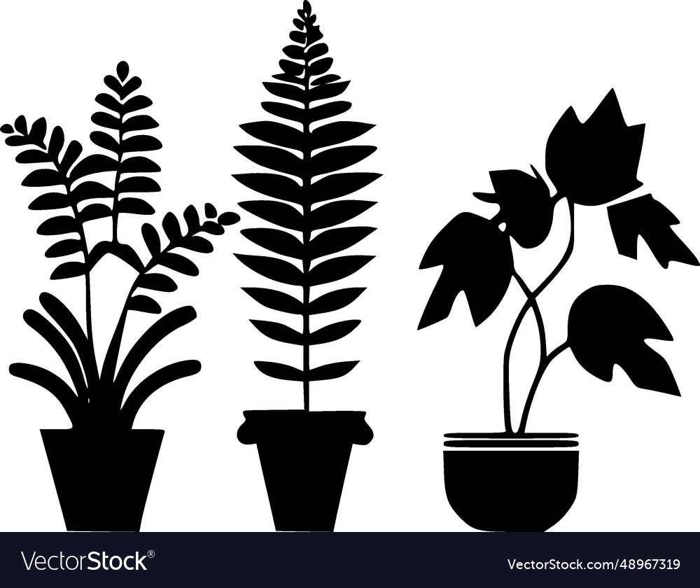 Plants - black and white Royalty Free Vector Image