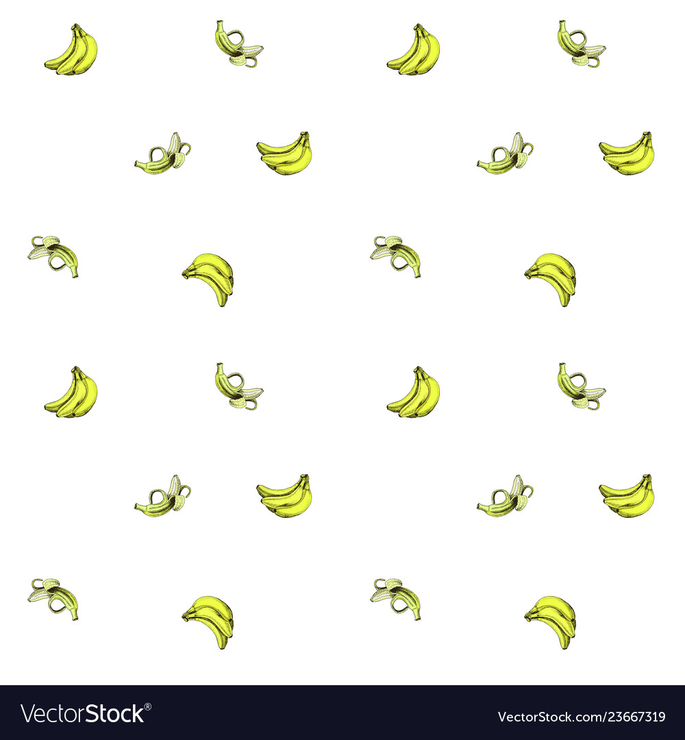 Sketch background fruit