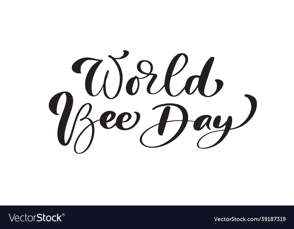 World bee day calligraphy lettering text Vector Image