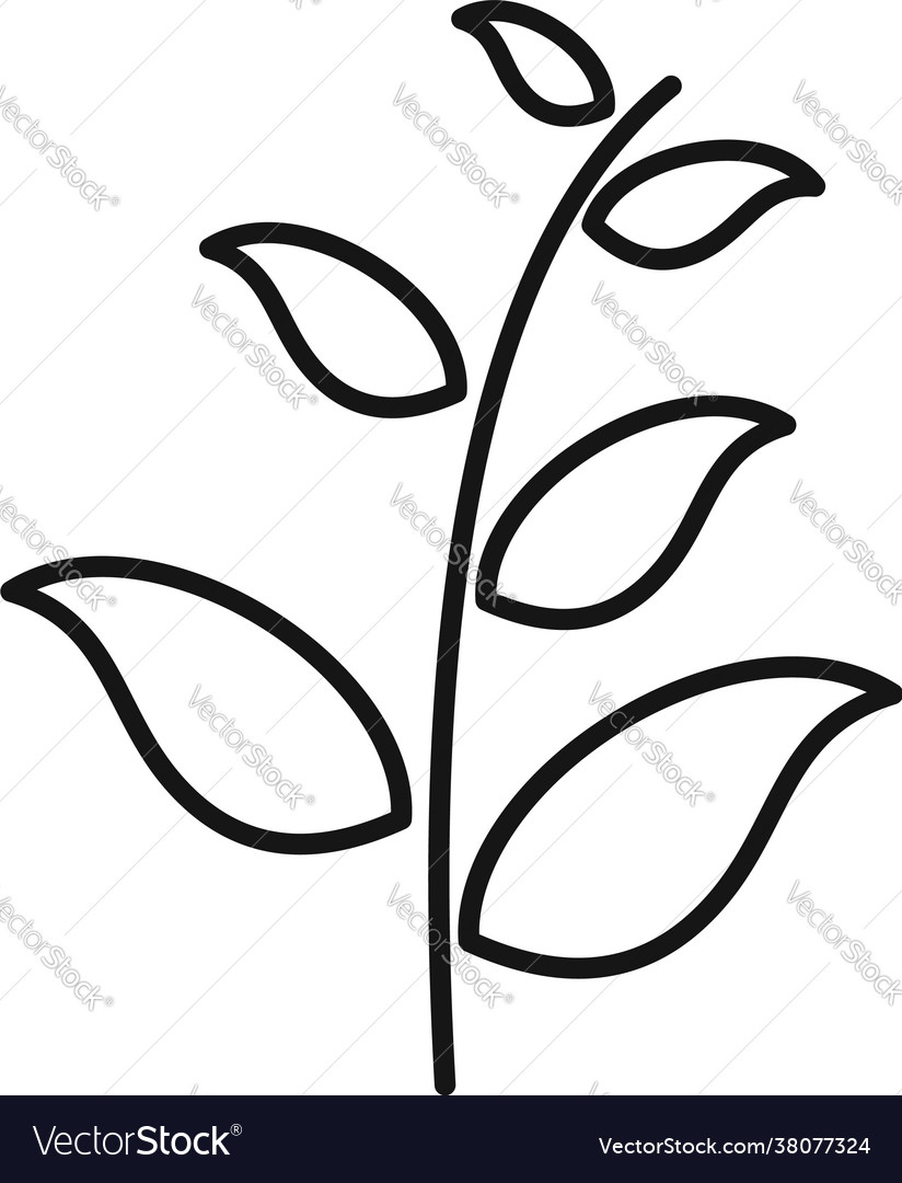 Essential oils field plant icon outline style Vector Image