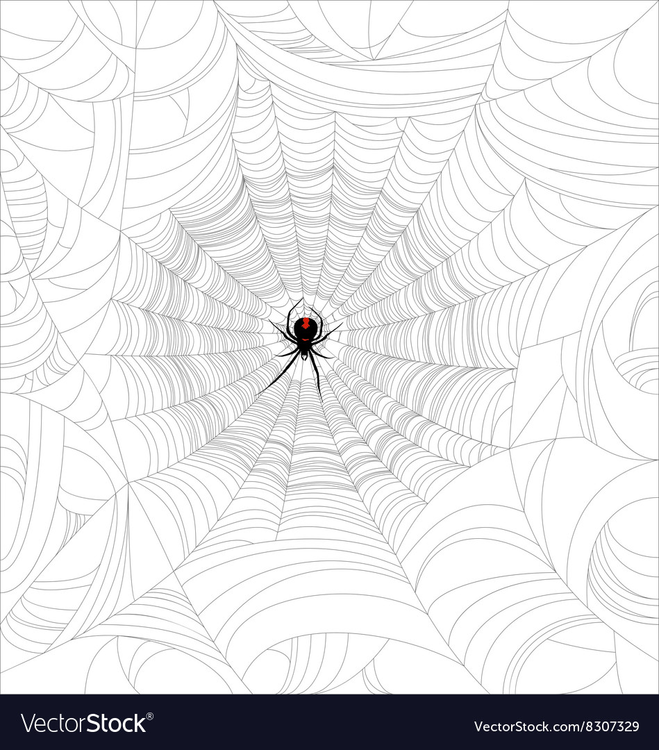 Black widow Royalty Free Vector Image - VectorStock