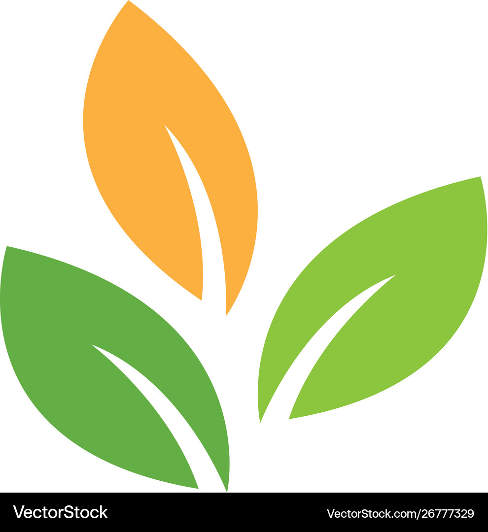 Logos green leaf Royalty Free Vector Image - VectorStock