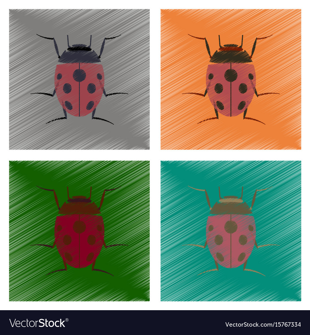 Assembly flat shading style insect