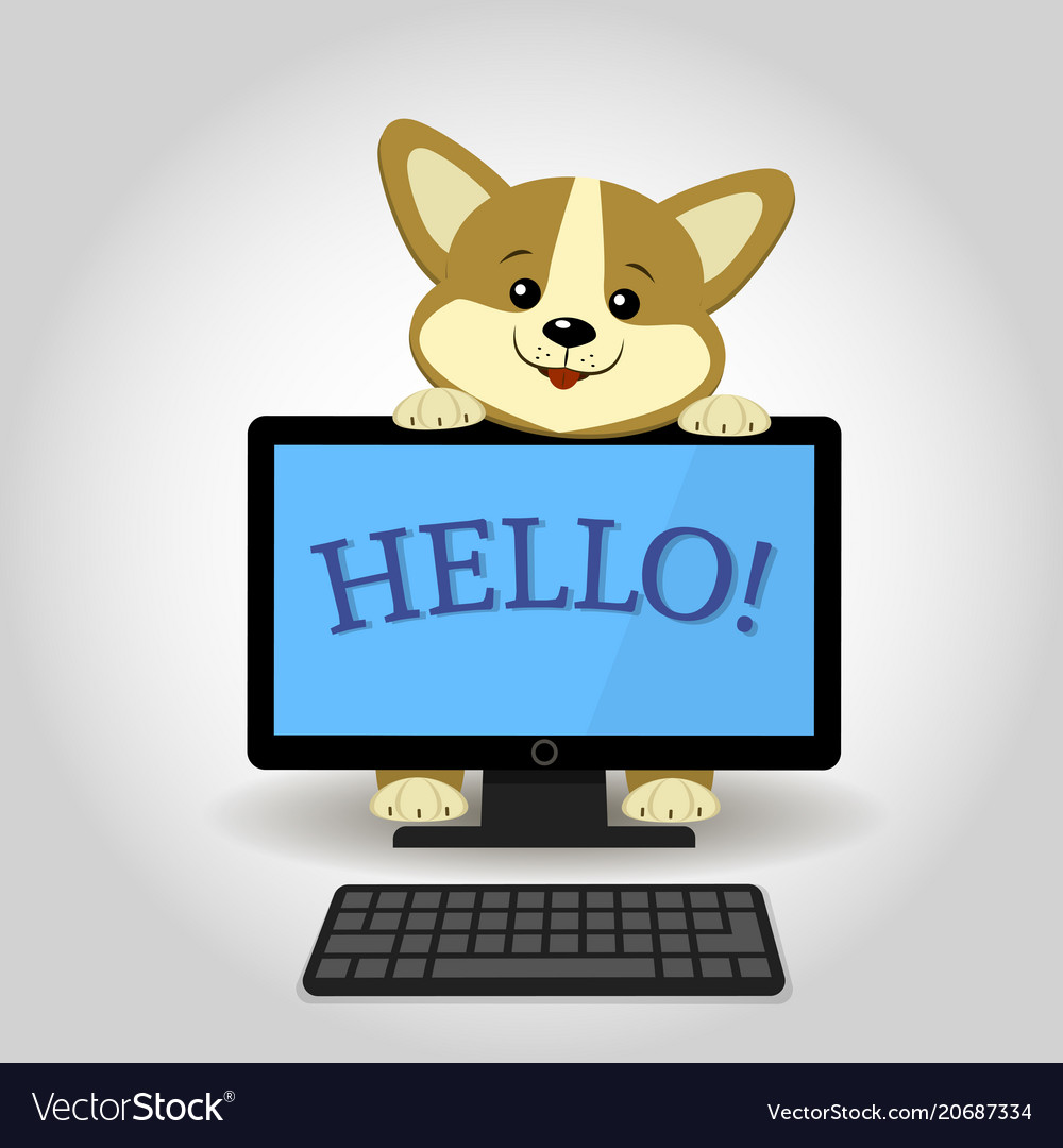 Corgi Behind Computer