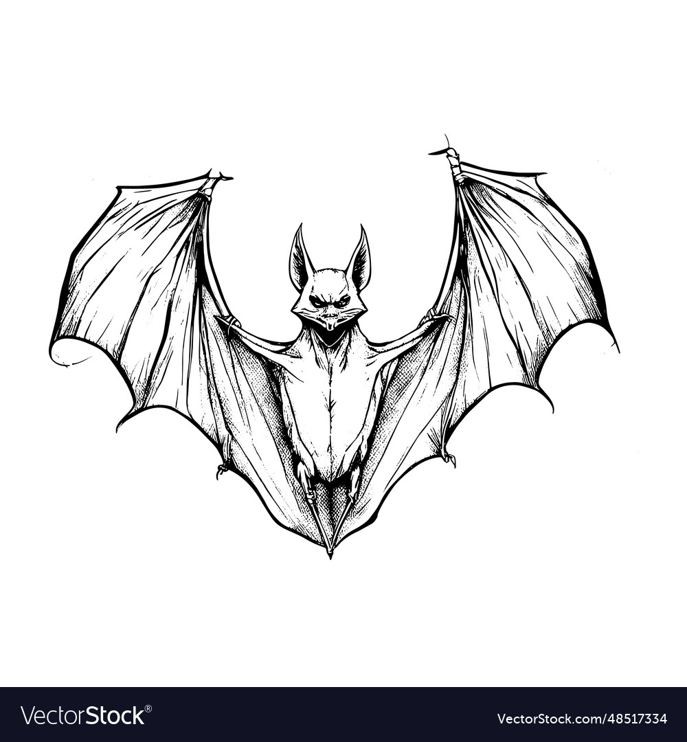 Halloween scary bat flying sketch close-up