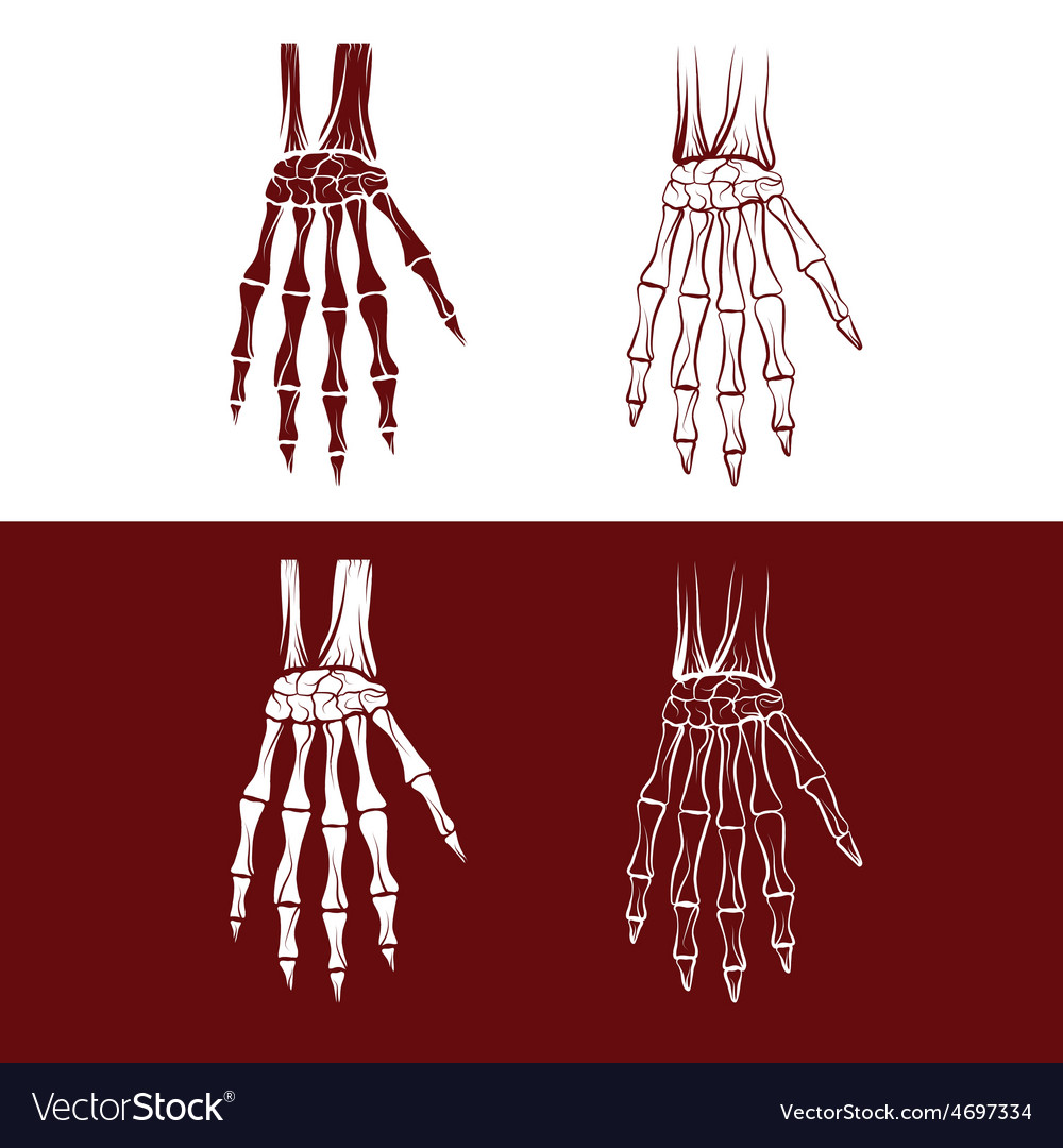 Set of skeleton hands