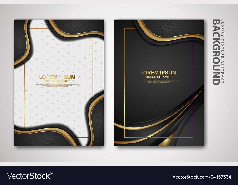 Two set cover design template with luxury and Vector Image