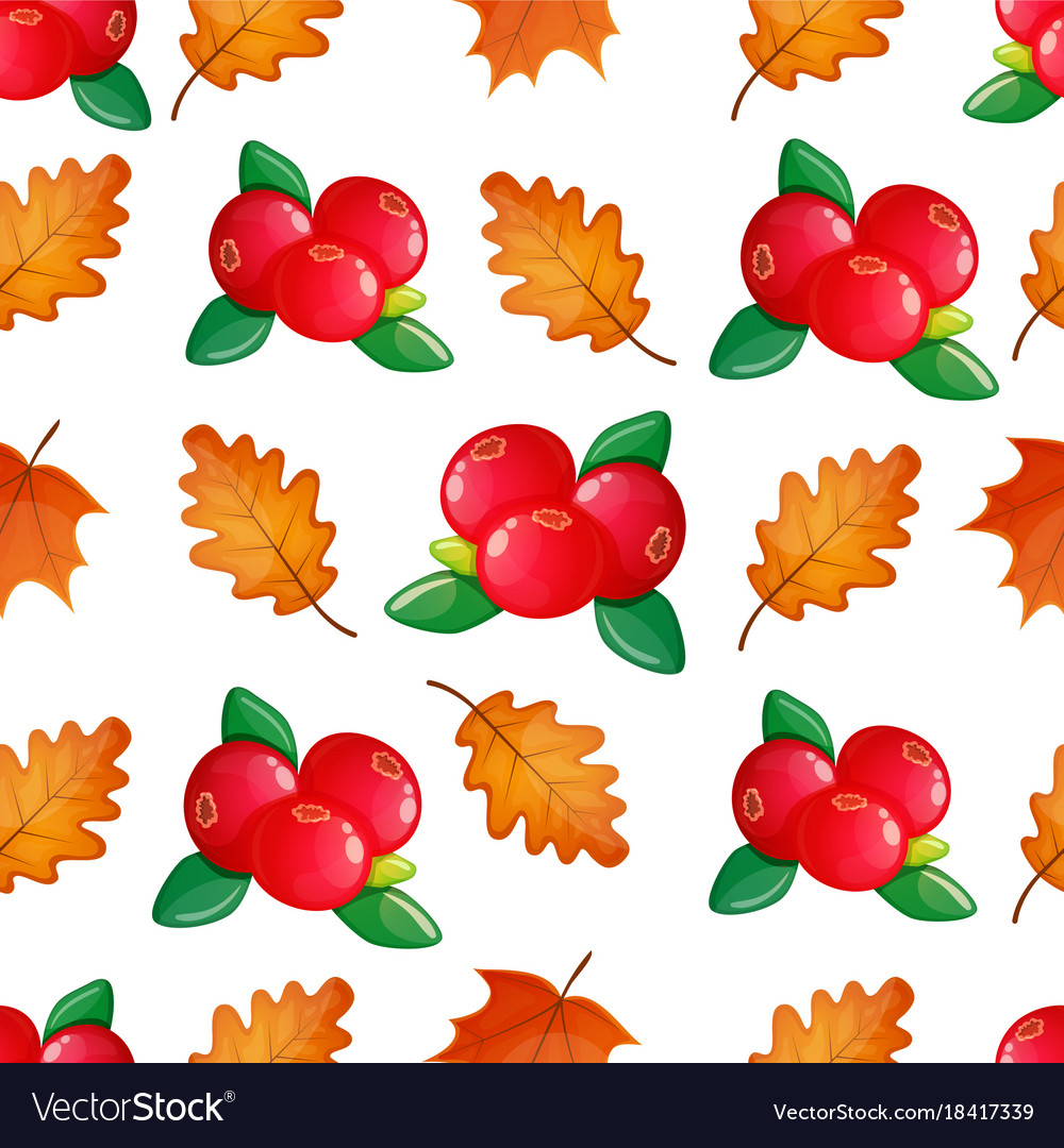 Seamless pattern with cranberries