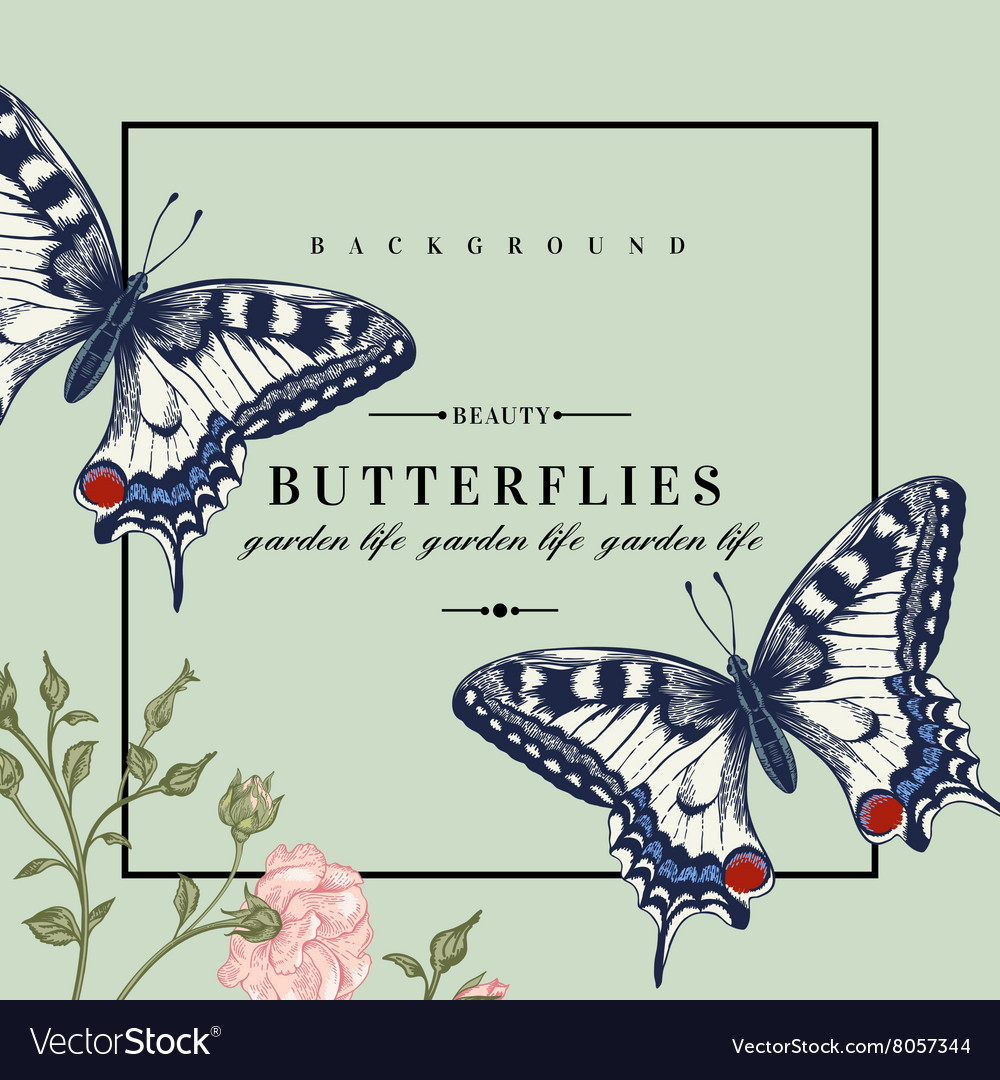 Card with butterflies and flowers Royalty Free Vector Image