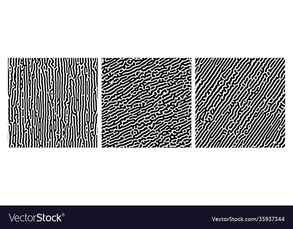 Set three turing reaction gradient backgrounds vector image Set three turing reaction gradient backgrounds