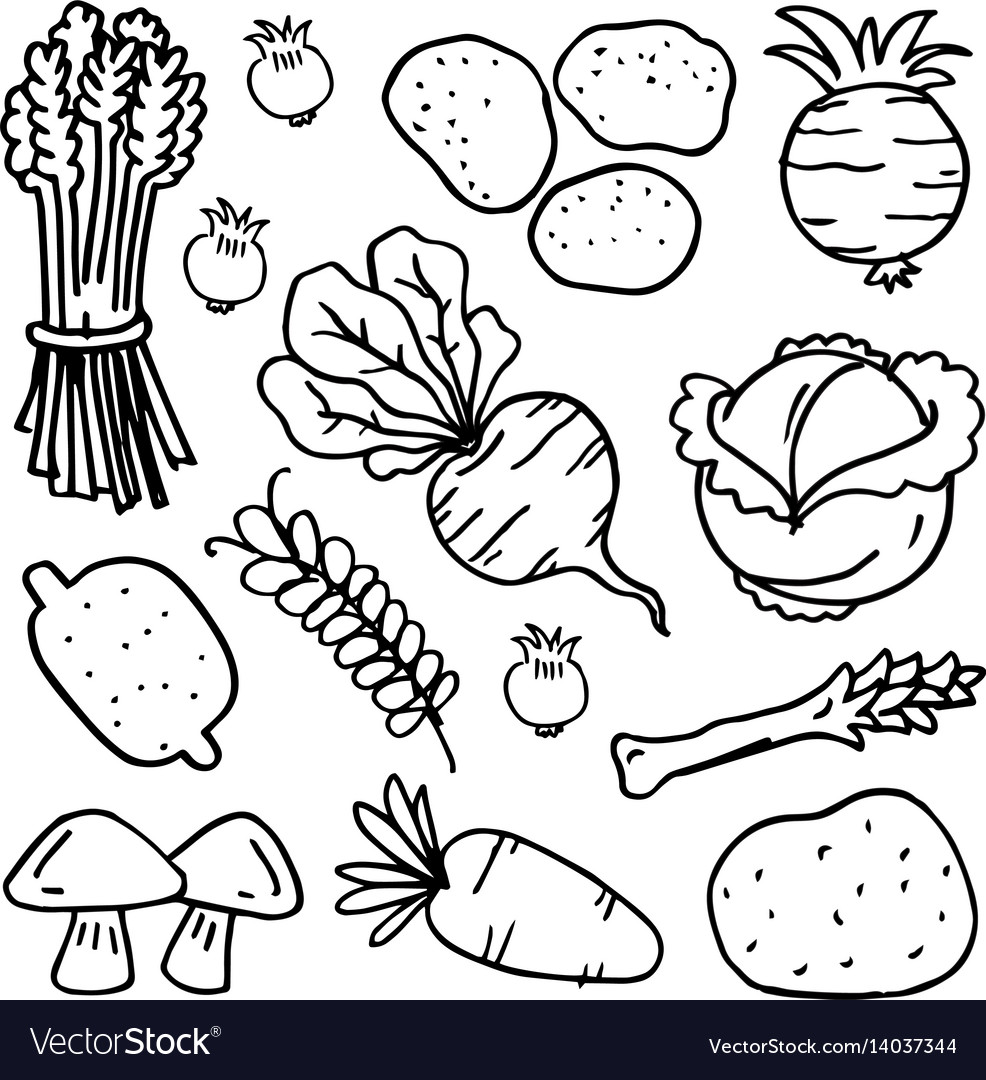 Vegetable set han draw doodles Royalty Free Vector Image