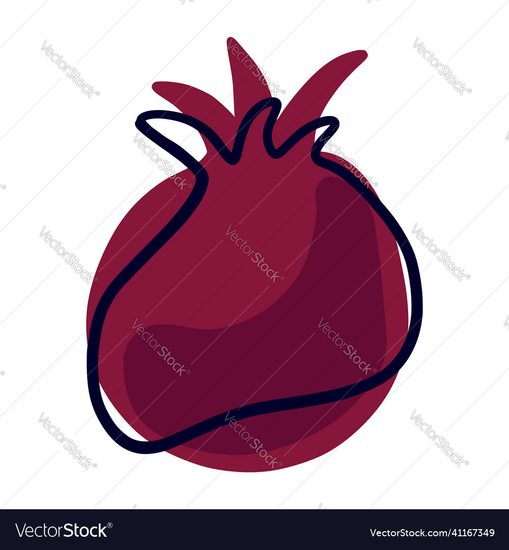 Hand drawn pomegranate isolated