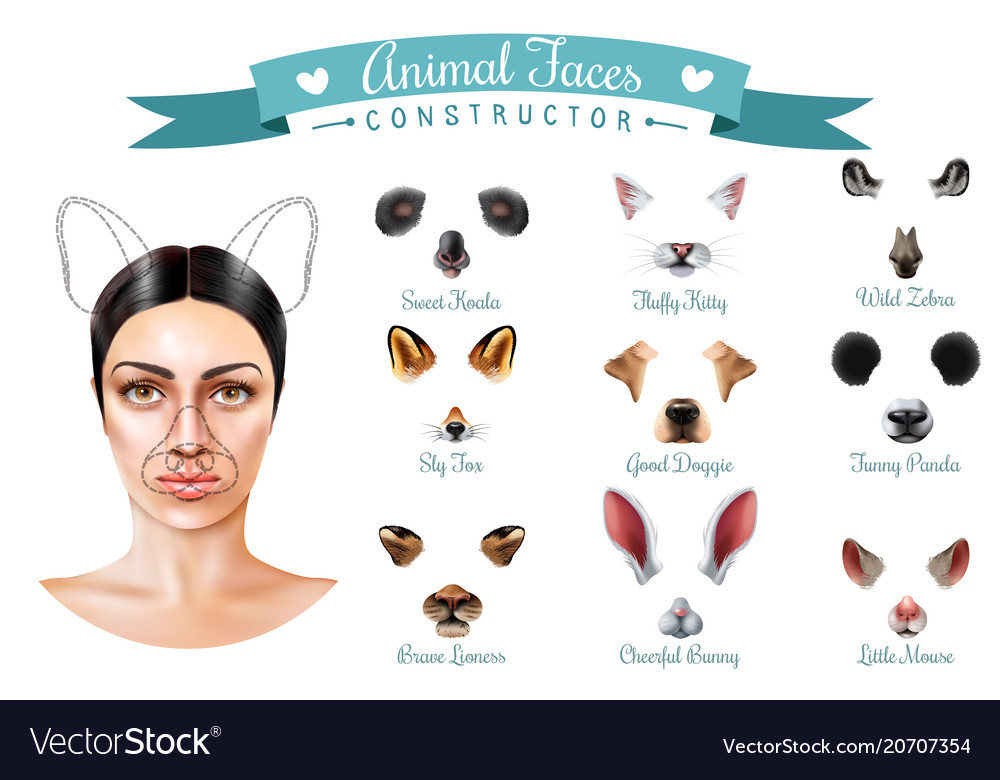 Cute animal faces constructor icon set Royalty Free Vector