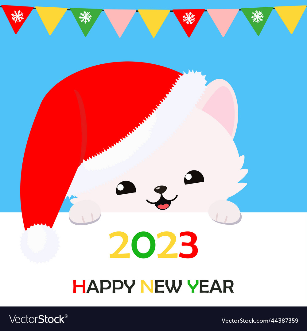 Cute white cat in christmas hat with sign happy