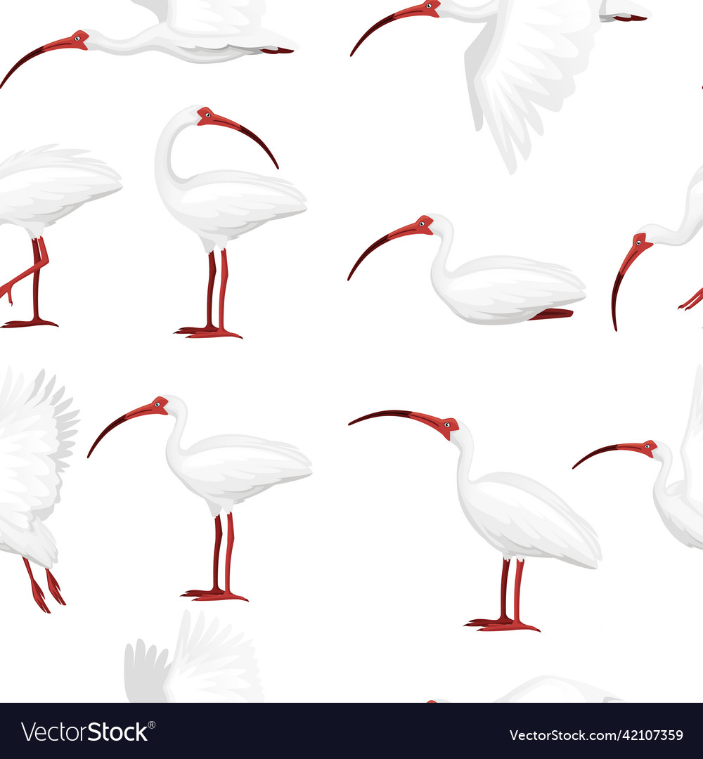 Seamless pattern of american white ibis flat