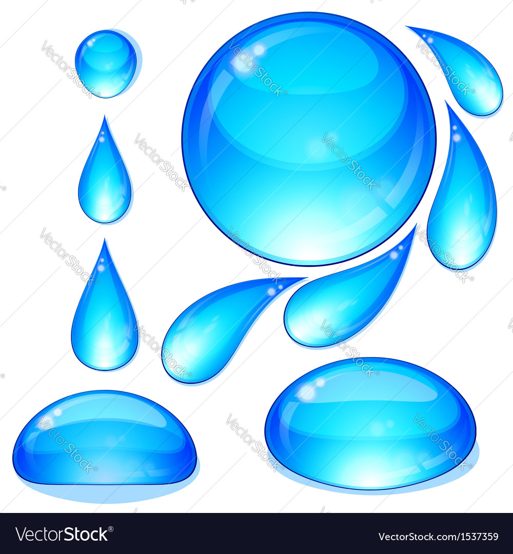 Water drops bubbles set Royalty Free Vector Image